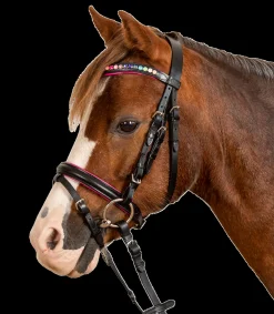 STAR Pony & Shetty|Shetty Trensenzäume>Trensenzaum Pinky