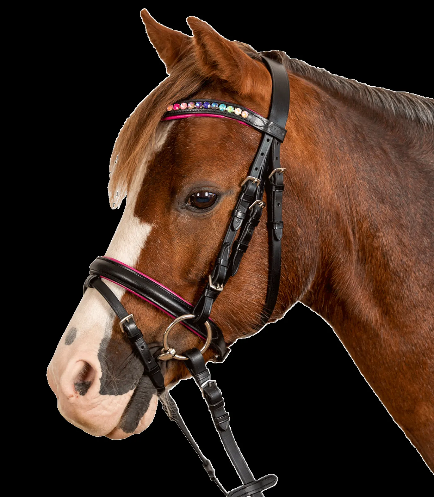 STAR Pony & Shetty|Shetty Trensenzäume>Trensenzaum Pinky