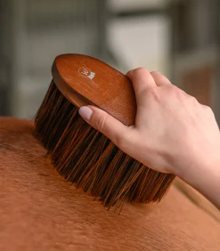 Waldhausen Putzzeug><noscript><img width=