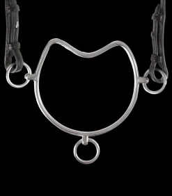 Waldhausen Spezialgebisse>Steiggebiss