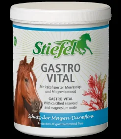 Stiefel Ergänzungsfuttermittel|Stallapotheke>Gastro Vital 1kg