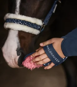 Waldhausen Putzzeug>Striegel Lucky