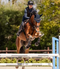 SWING Reithelme><noscript><img width=