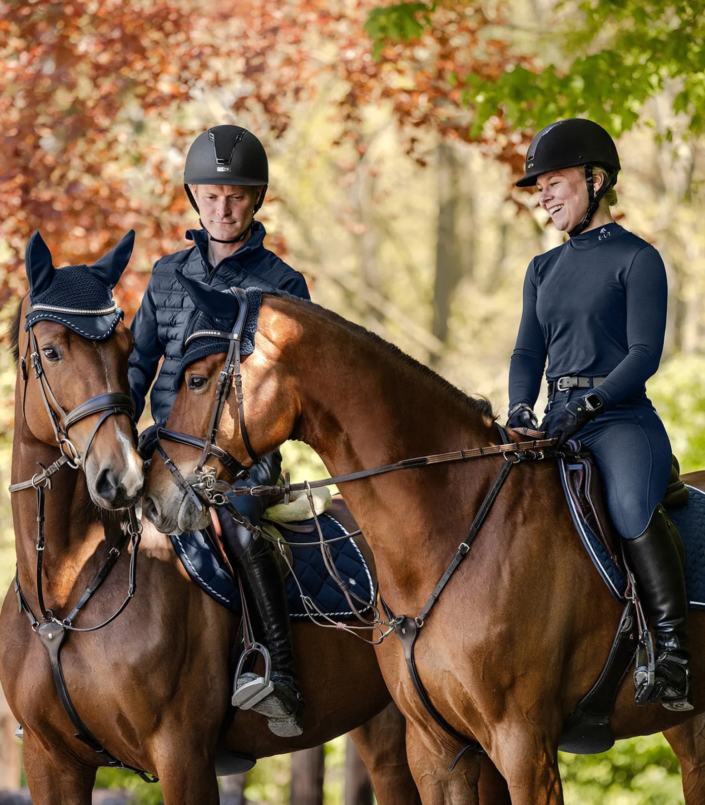 SWING Reithelme>Reithelm H22 shine