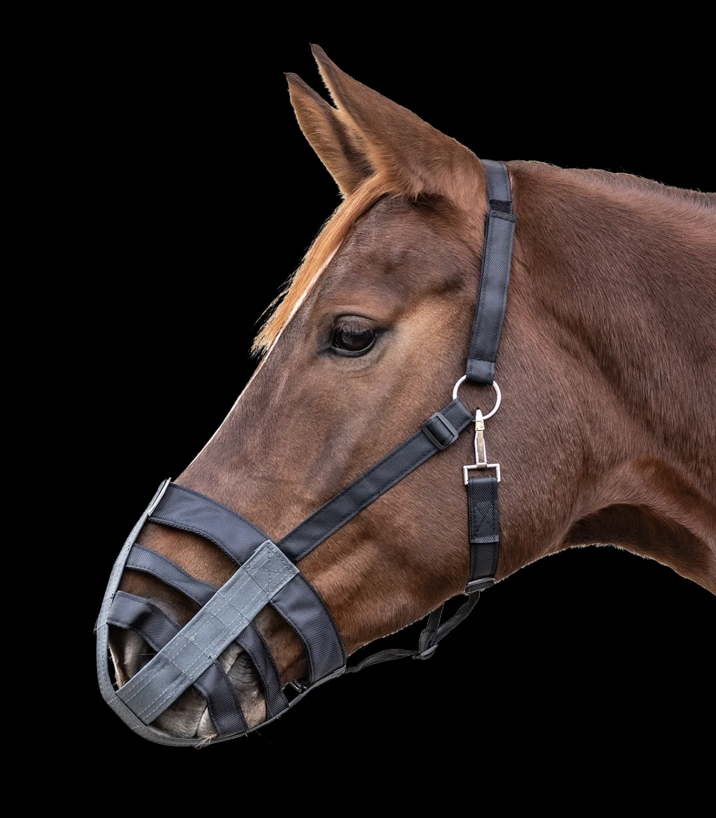 Waldhausen Weide|Pony & Shetty>Textil Maulkorb