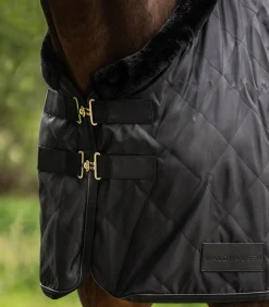 Waldhausen Transport|Stalldecken></noscript>Transportdecke EXCLUSIVE, 50 g