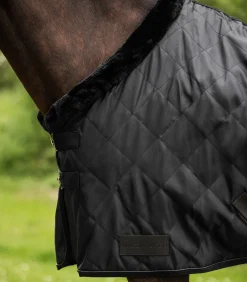 Waldhausen Transport|Stalldecken></noscript>Transportdecke EXCLUSIVE, 50 g