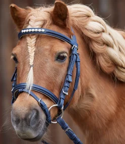 Waldhausen Pony & Shetty|Shetty Trensenzäume></noscript>Trensenzaum Lucky