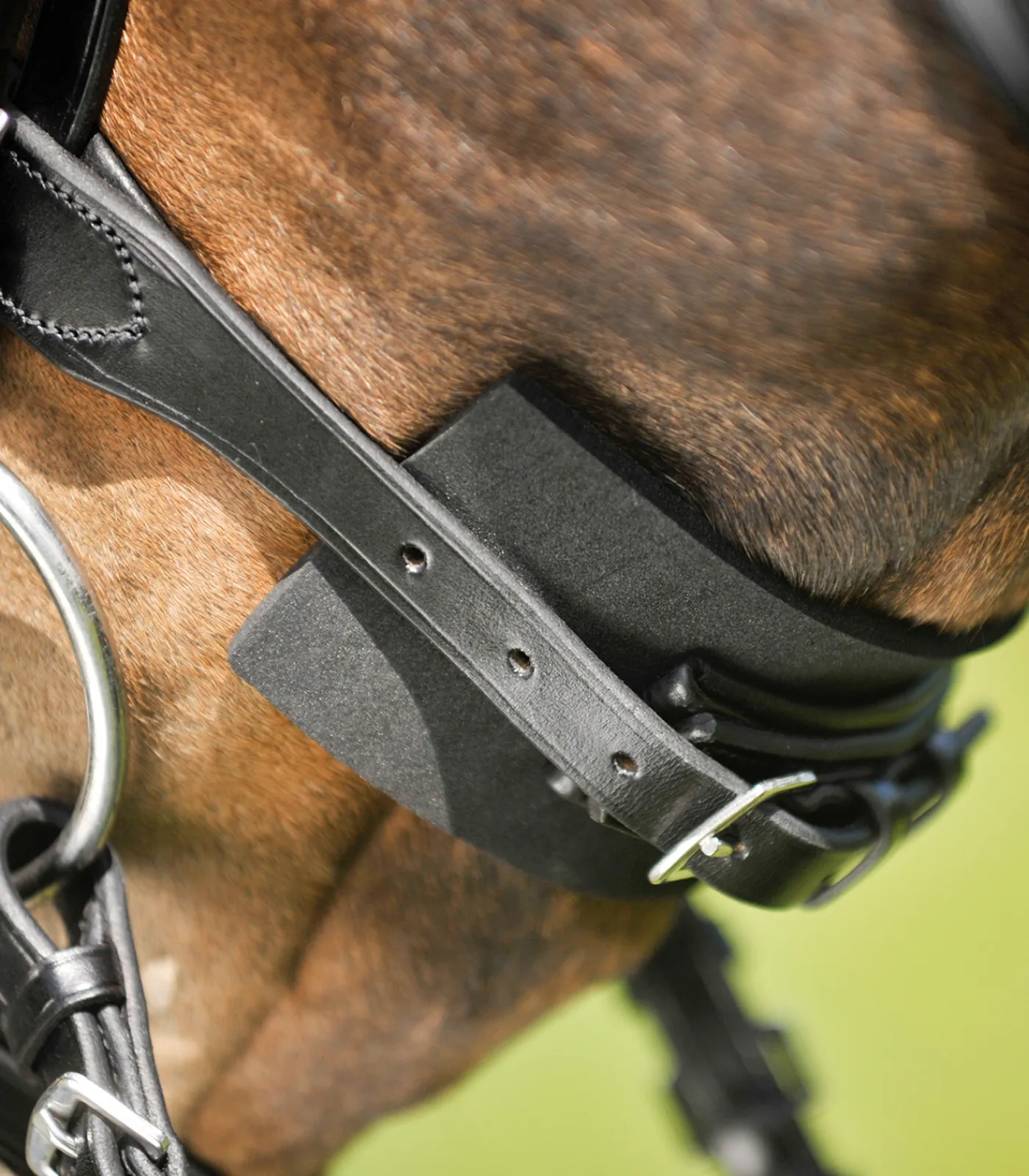 Waldhausen Turniertrensen, Kandaren & Zubehör|Trensenzubehör>Trensenzaum Unterlegpolster