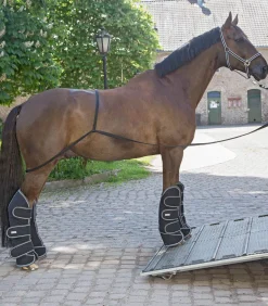 Waldhausen Transport|Turnieraccessoires & Pflege>Verladehilfe