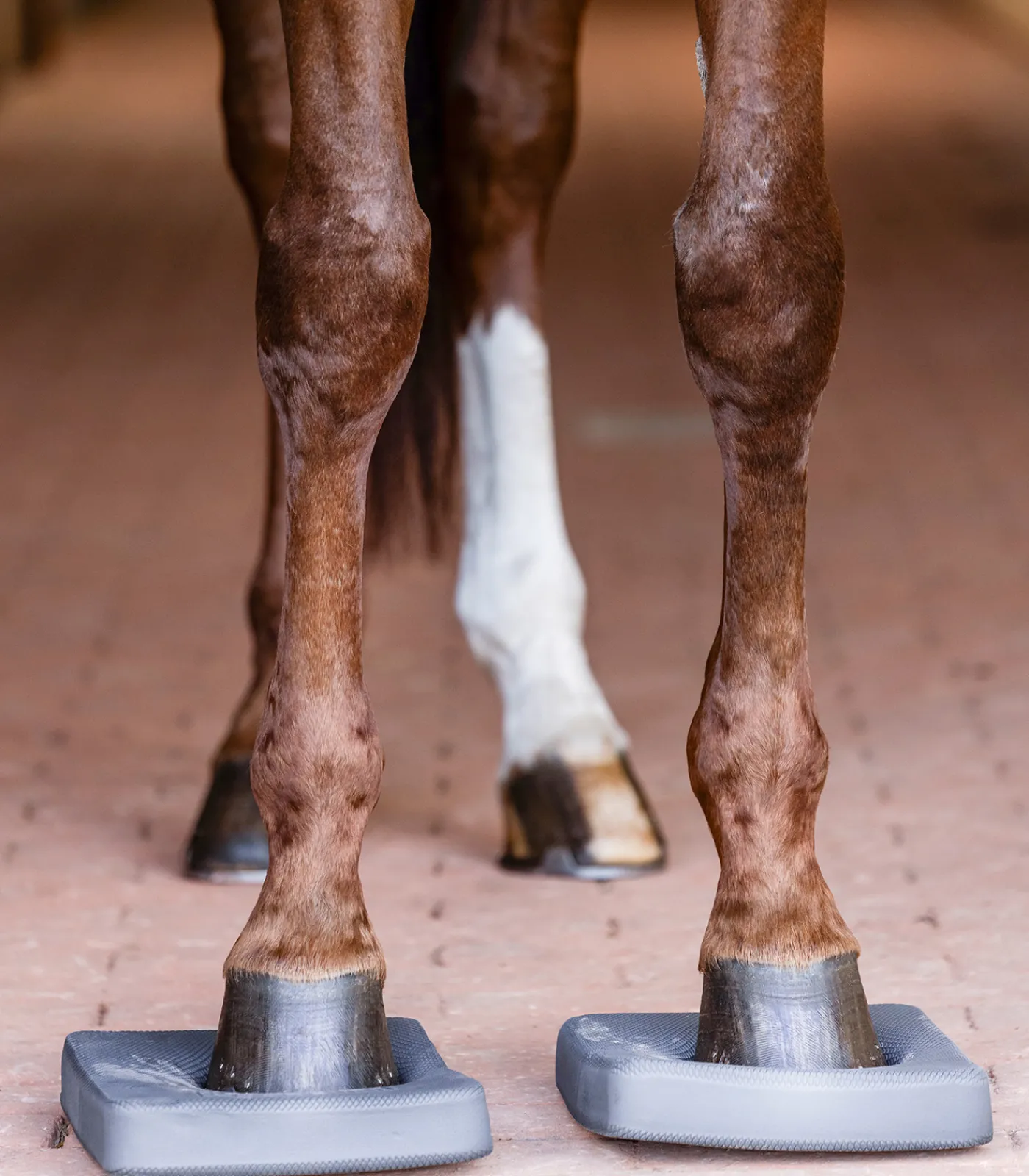 Waldhausen Health + Care Health + Care>Balance Pads