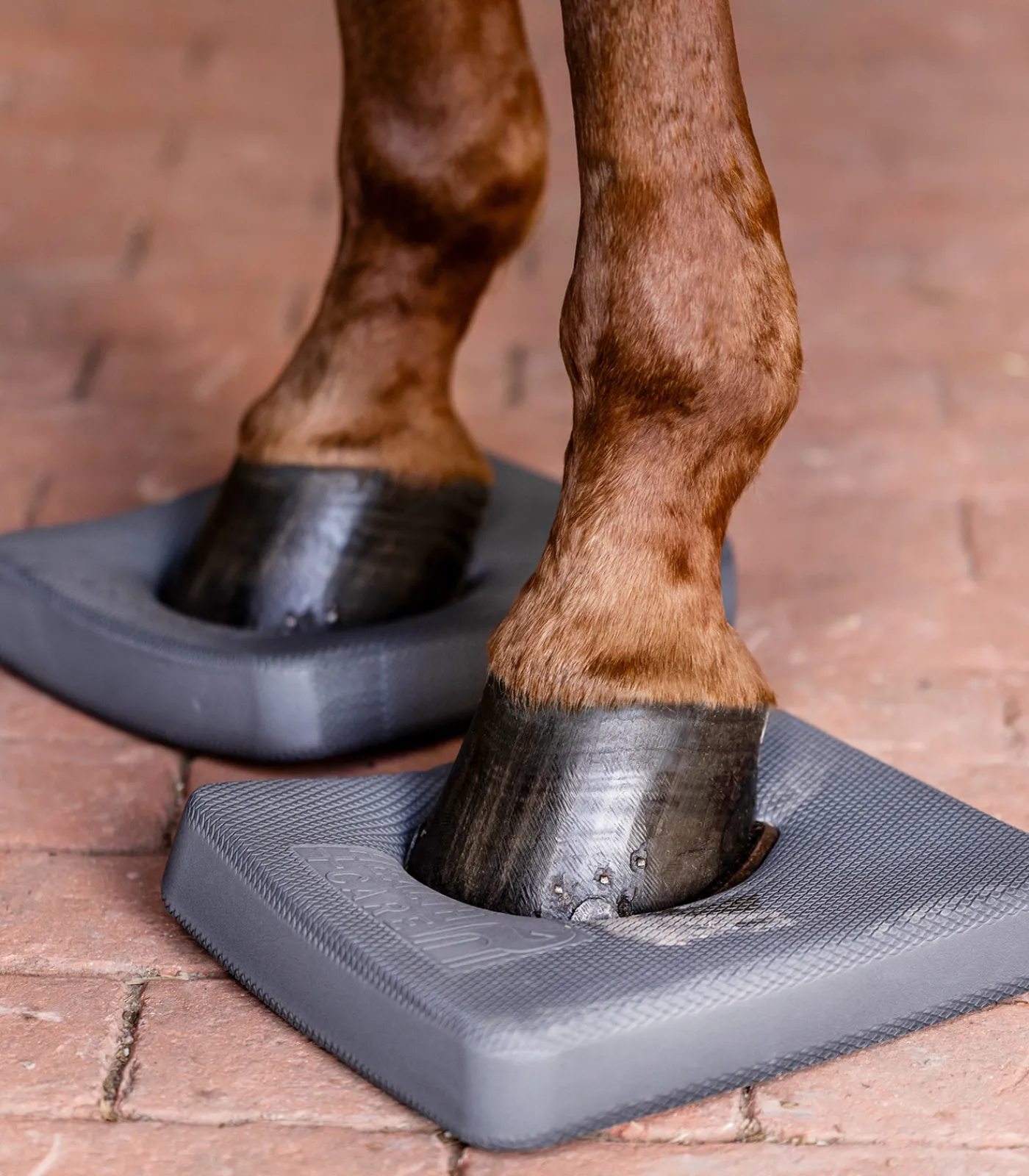 Waldhausen Health + Care Health + Care>Balance Pads