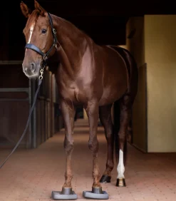 Waldhausen Health + Care Health + Care><noscript><img width=