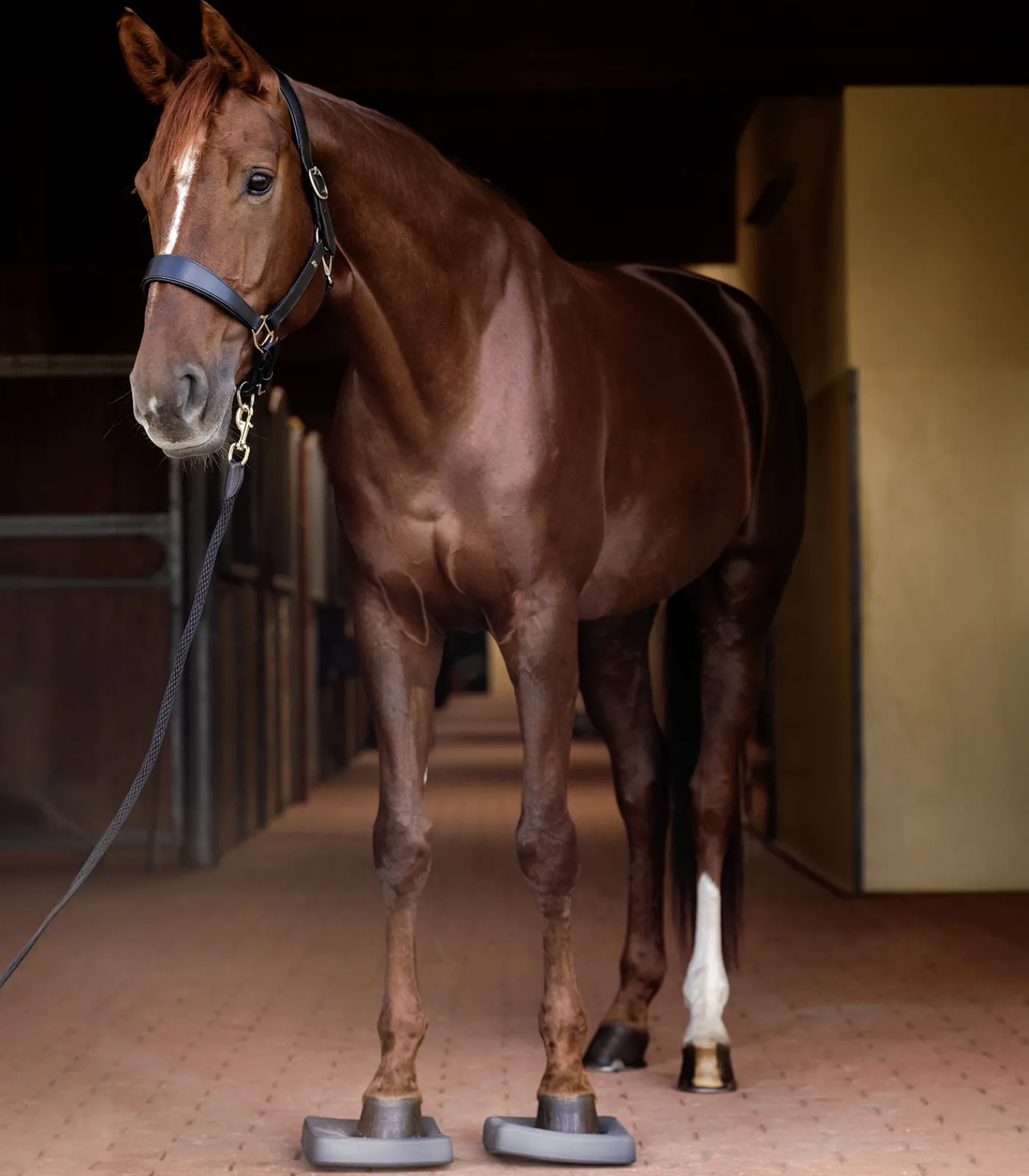 Waldhausen Health + Care Health + Care>Balance Pads