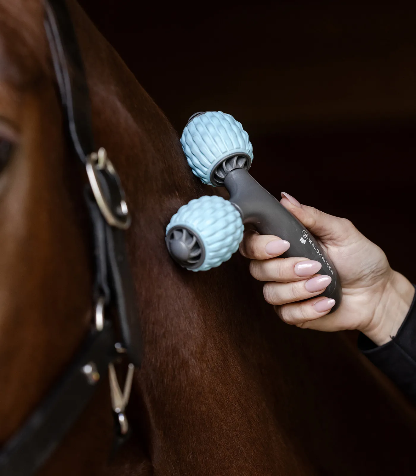 Waldhausen Health + Care Health + Care>Comfort Creator