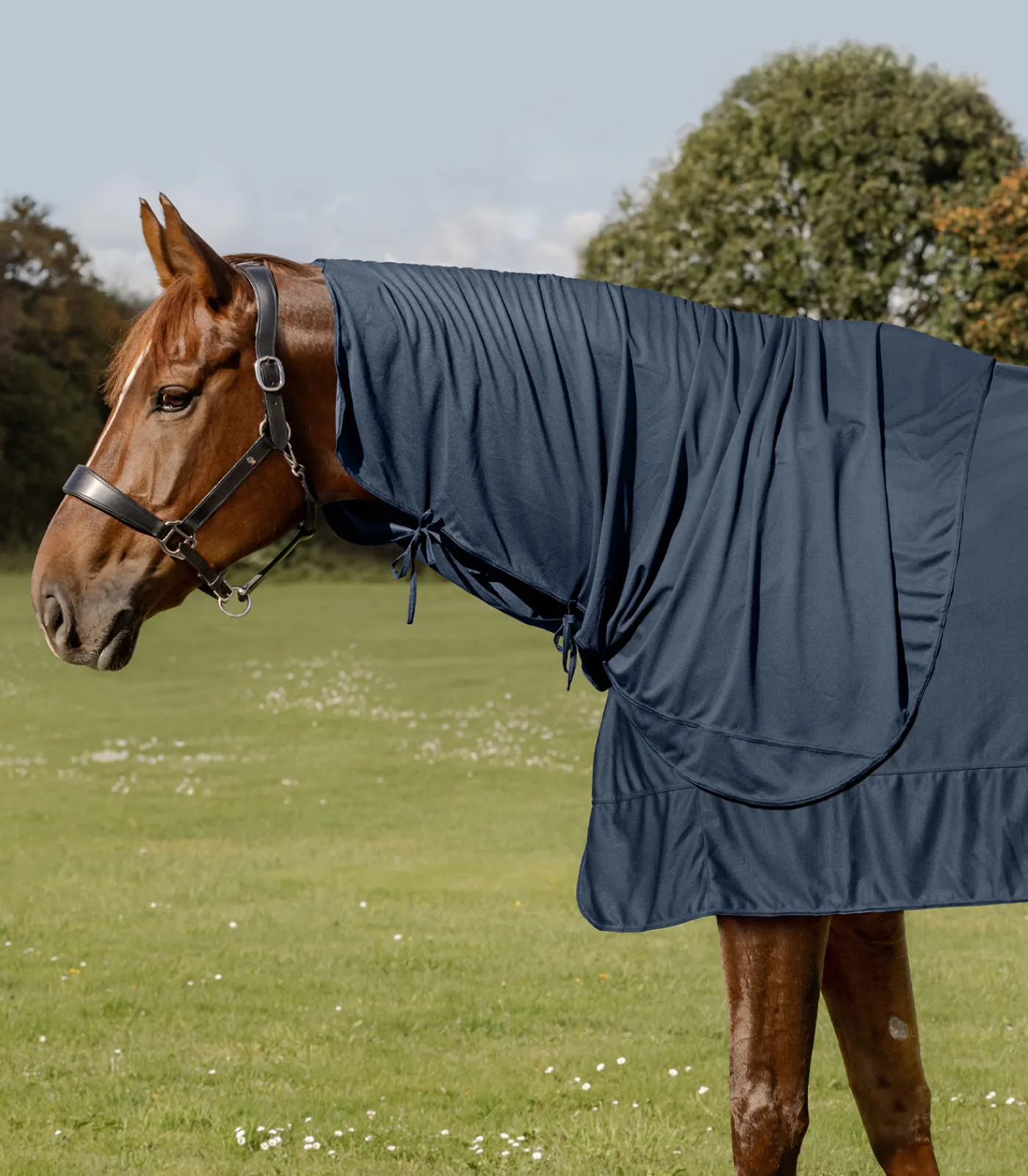 Waldhausen Health + Care Health + Care|Deckenzubehör>Ice-Layer Halsteil