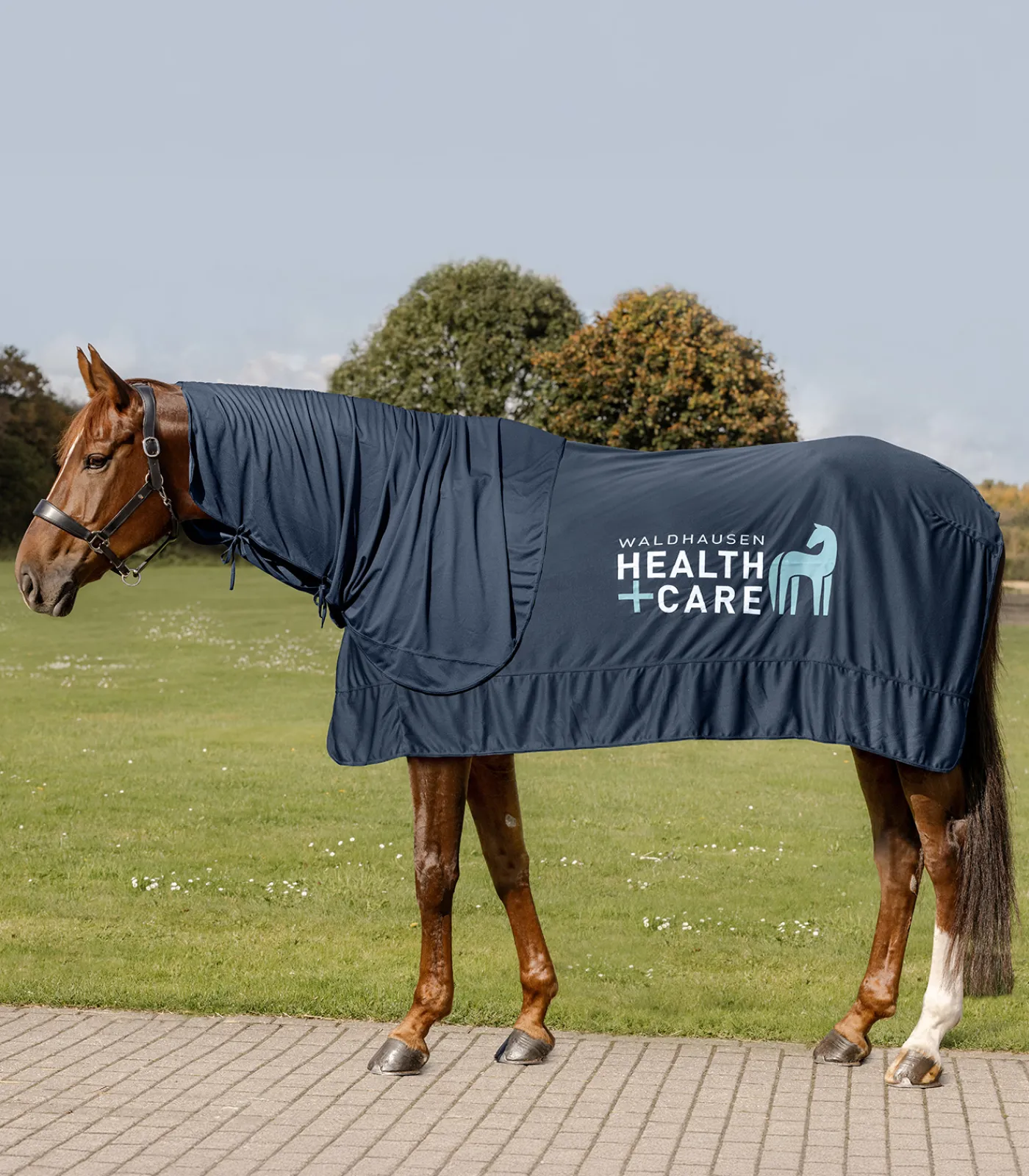 Waldhausen Health + Care Health + Care|Deckenzubehör>Ice-Layer Halsteil