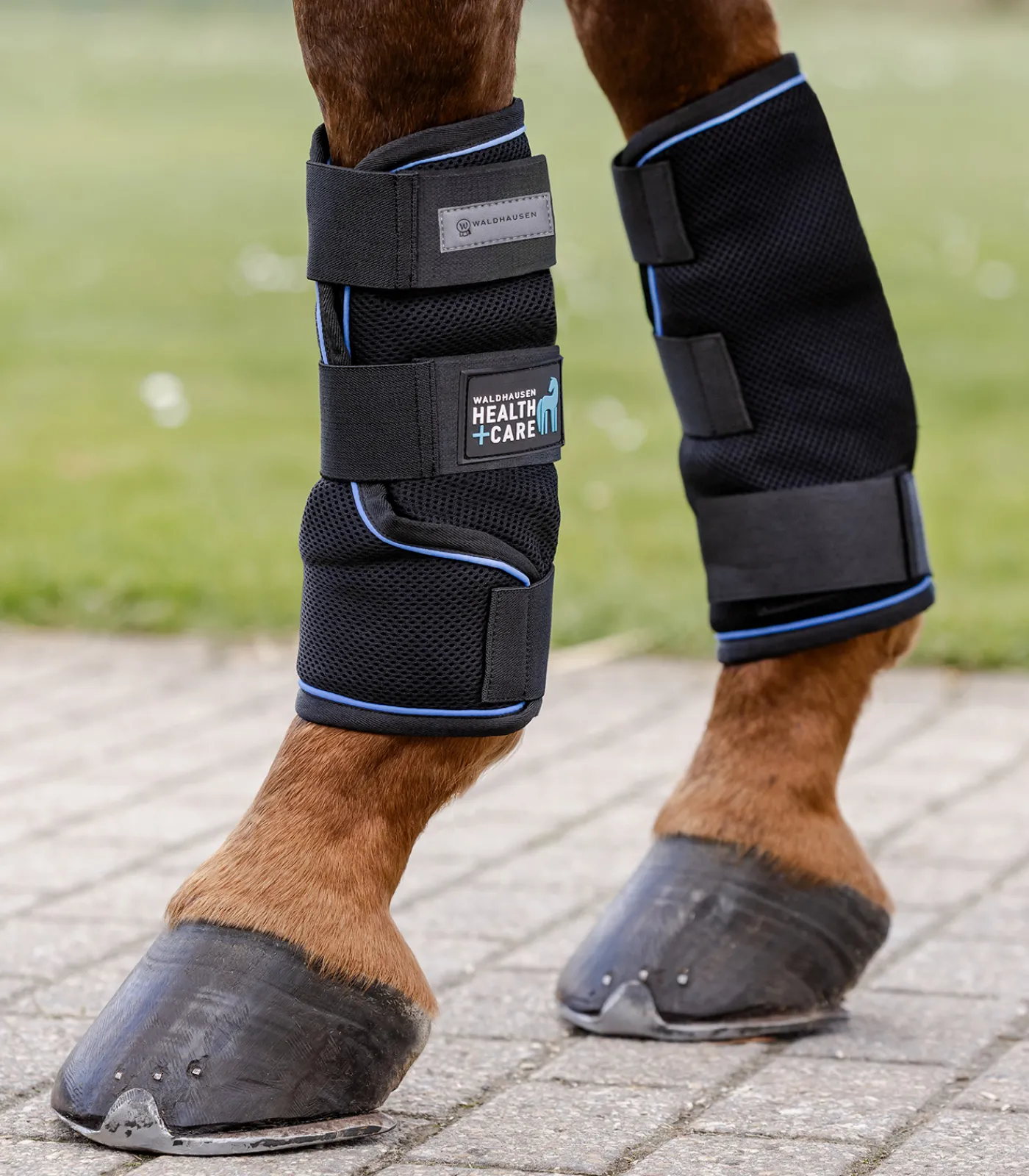 Waldhausen Health + Care Health + Care|Gamaschen & Streichkappen>Ice-Layer Gamaschen, Paar