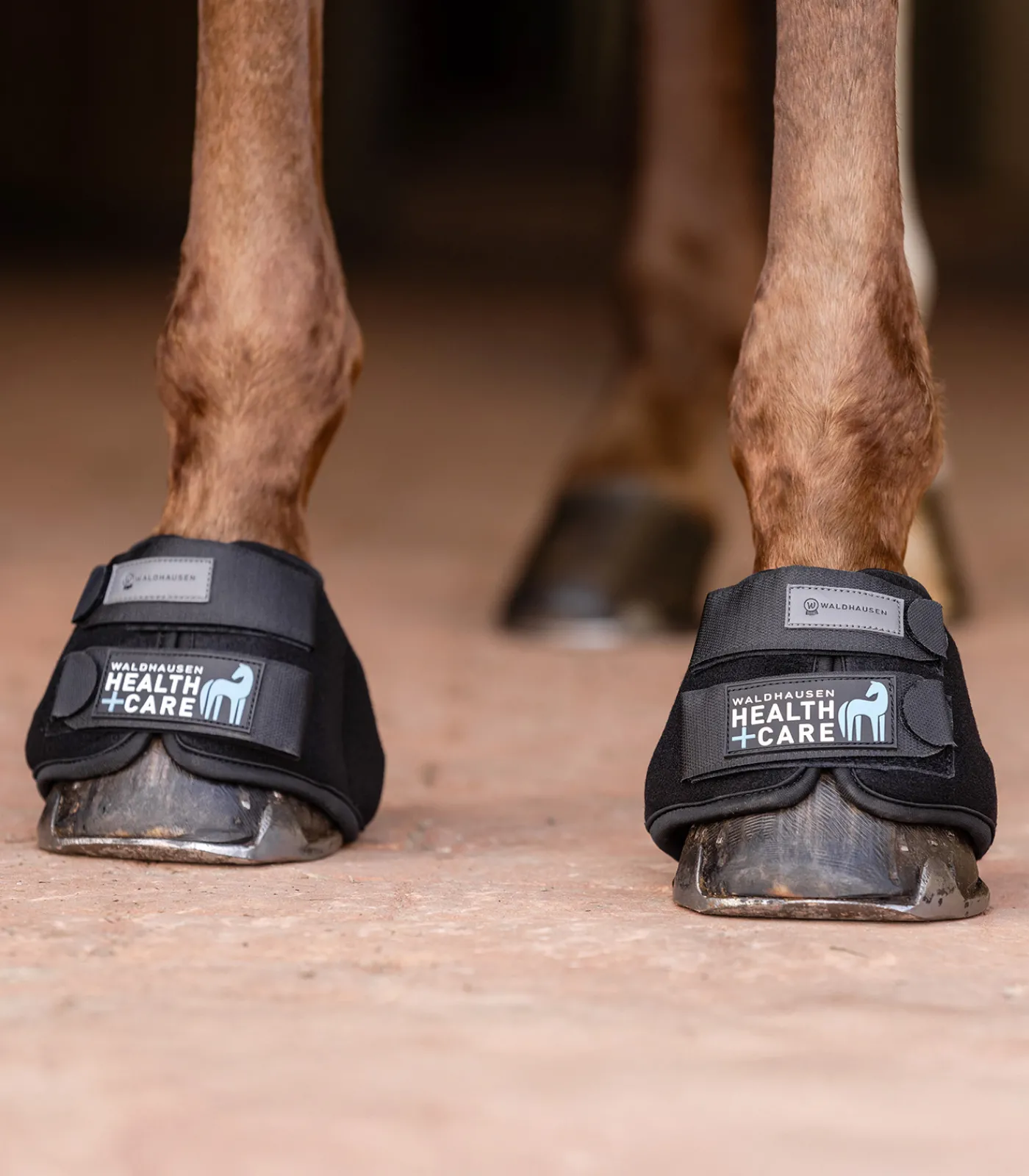 Waldhausen Health + Care Health + Care|Stallapotheke>Kühlhufglocken, Paar