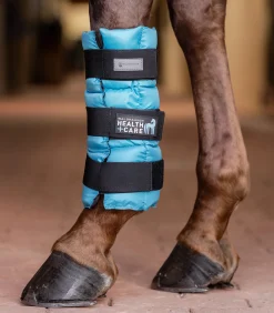 Waldhausen Health + Care Health + Care|Stallapotheke>Kühlgamasche, Stück