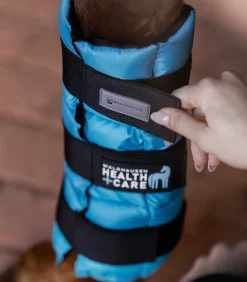 Waldhausen Health + Care Health + Care|Stallapotheke>Kühlgamasche, Stück