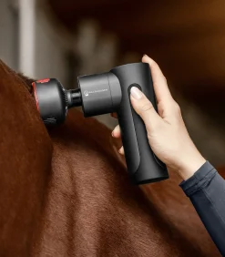 Waldhausen Health + Care Health + Care|Stallapotheke><noscript><img width=