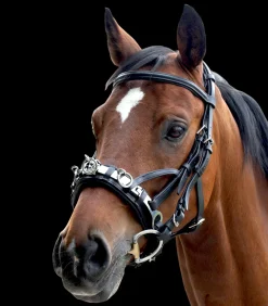 Waldhausen Kappzäume & Longiergurte>Kappzaum, Leder