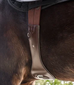 Waldhausen Sattelgurte><noscript><img width=