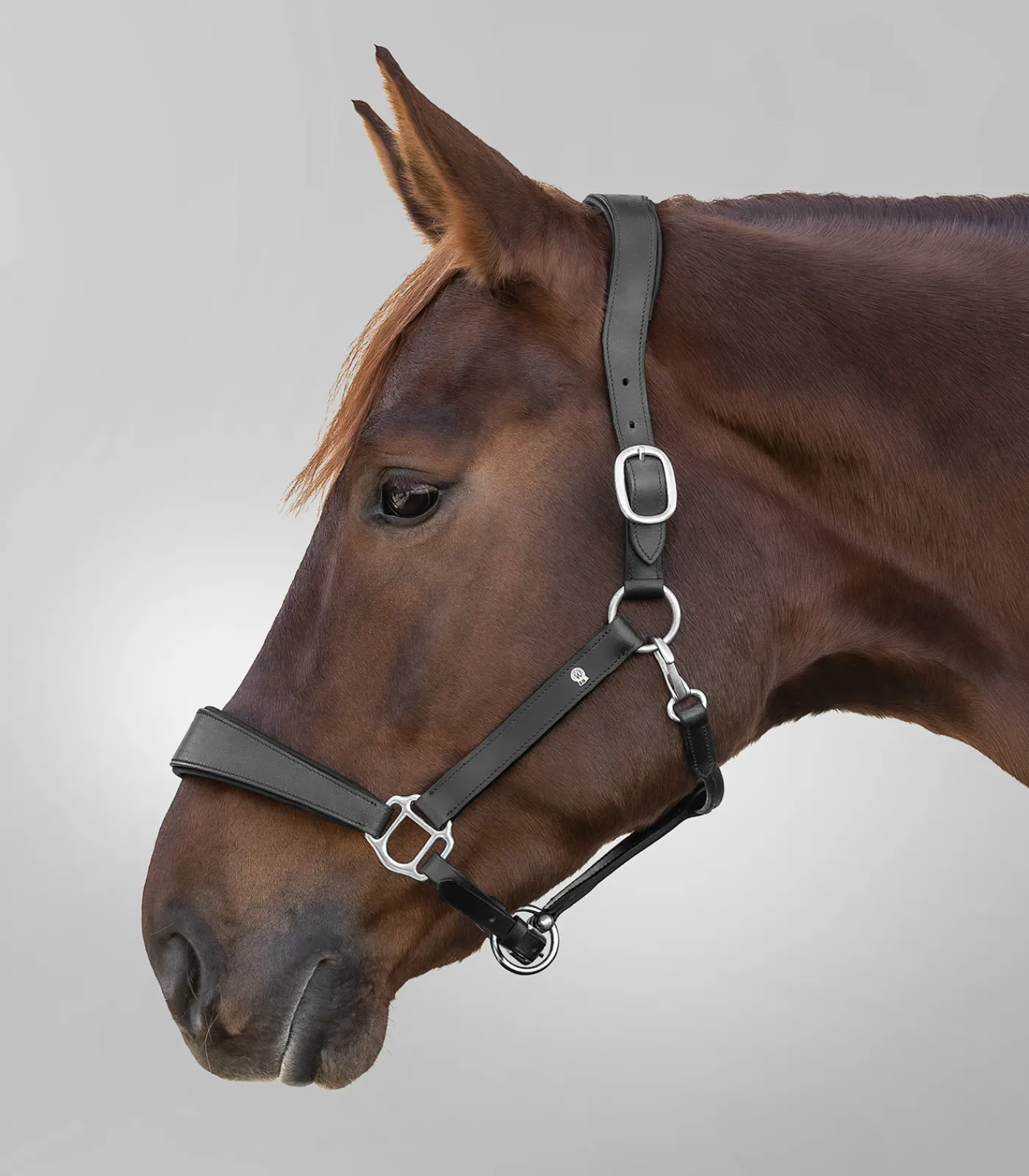 Waldhausen Halfter>S-Line Lederhalfter Anatomic