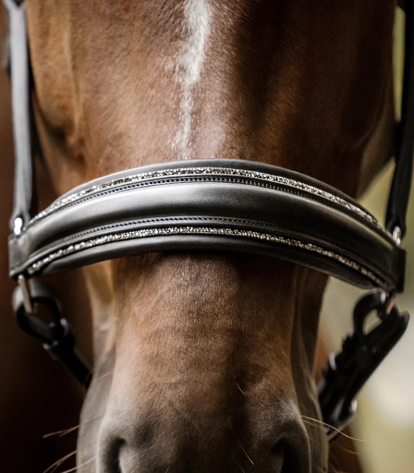 Waldhausen Halfter>S-Line Lederhalfter Glamour