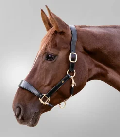 Waldhausen Halfter>S-Line Lederhalfter Royal