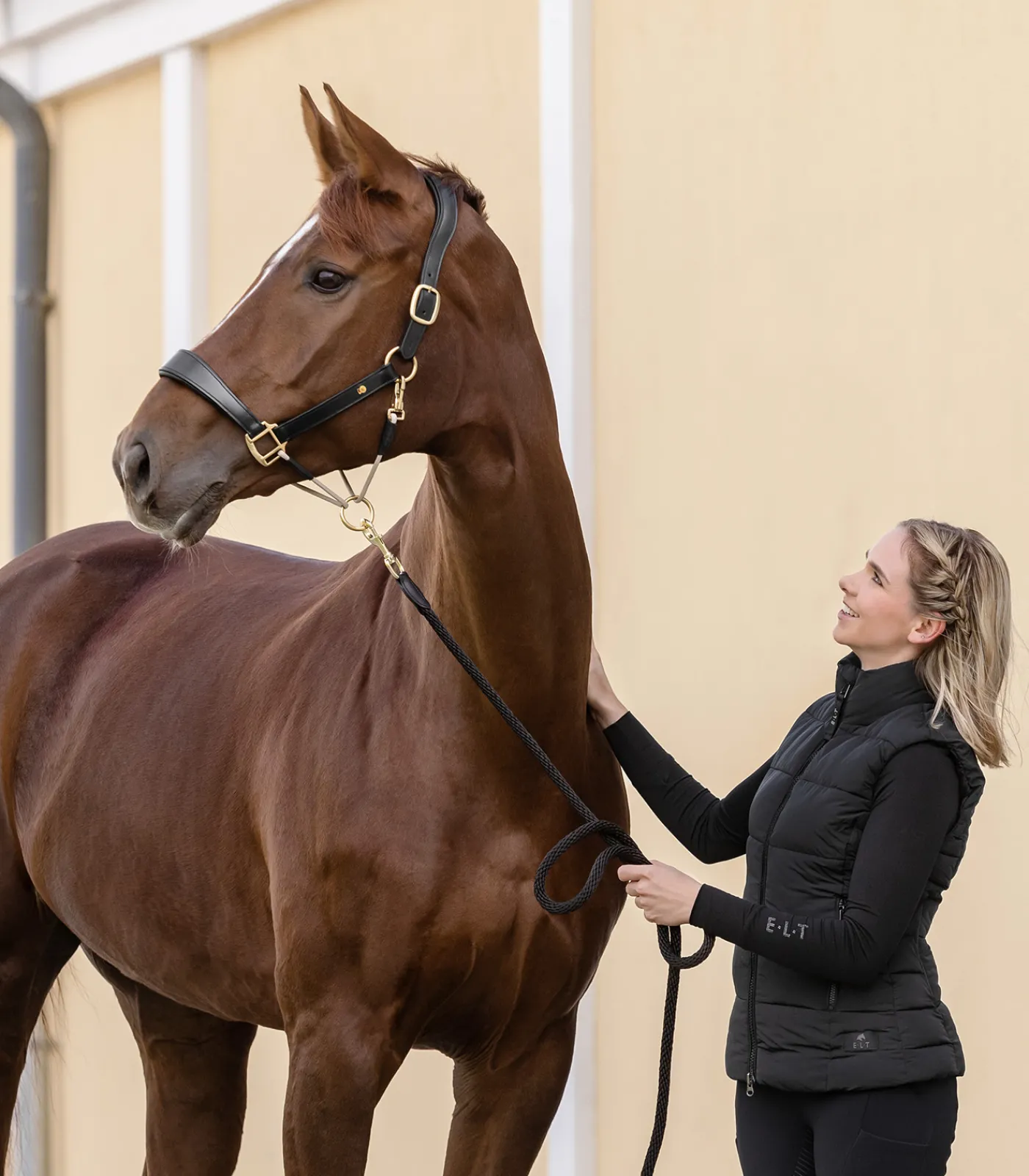 Waldhausen Halfter>S-Line Lederhalfter Royal
