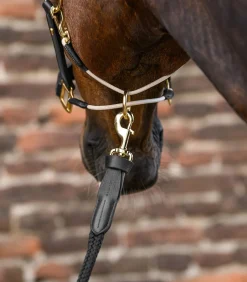 Waldhausen Halfter><noscript><img width=