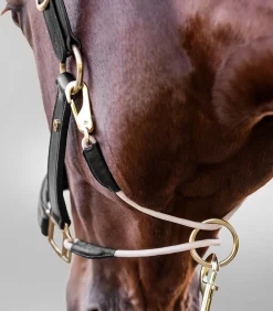 Waldhausen Halfter><noscript><img width=