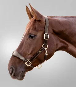 Waldhausen Halfter><noscript><img width=