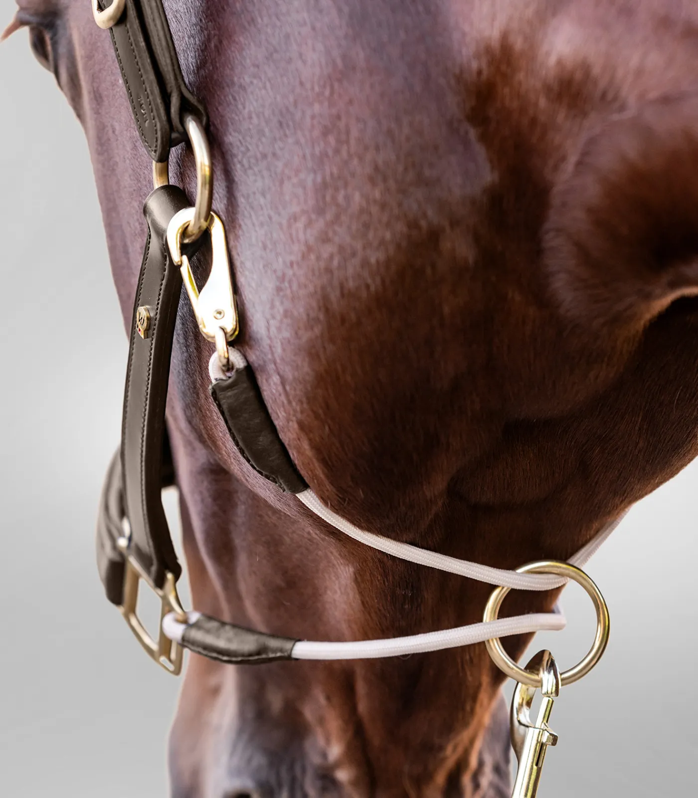 Waldhausen Halfter>S-Line Lederhalfter Royal