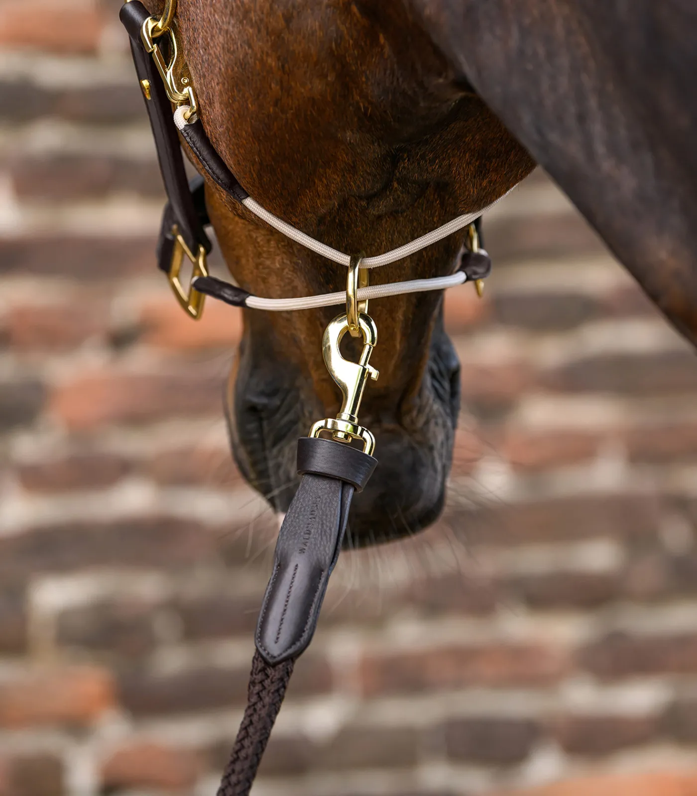 Waldhausen Halfter>S-Line Lederhalfter Royal