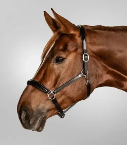 Waldhausen Halfter></noscript>S-Line Lederhalfter Classy