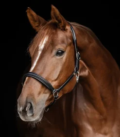 Waldhausen Halfter></noscript>S-Line Lederhalfter Classy