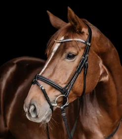 Waldhausen Turniertrensen, Kandaren & Zubehör|Trensenzäume></noscript>S-Line Trensenzaum Harmony