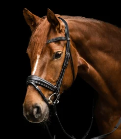 Waldhausen Trensenzäume><noscript><img width=