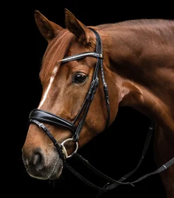 Waldhausen Trensenzäume><noscript><img width=