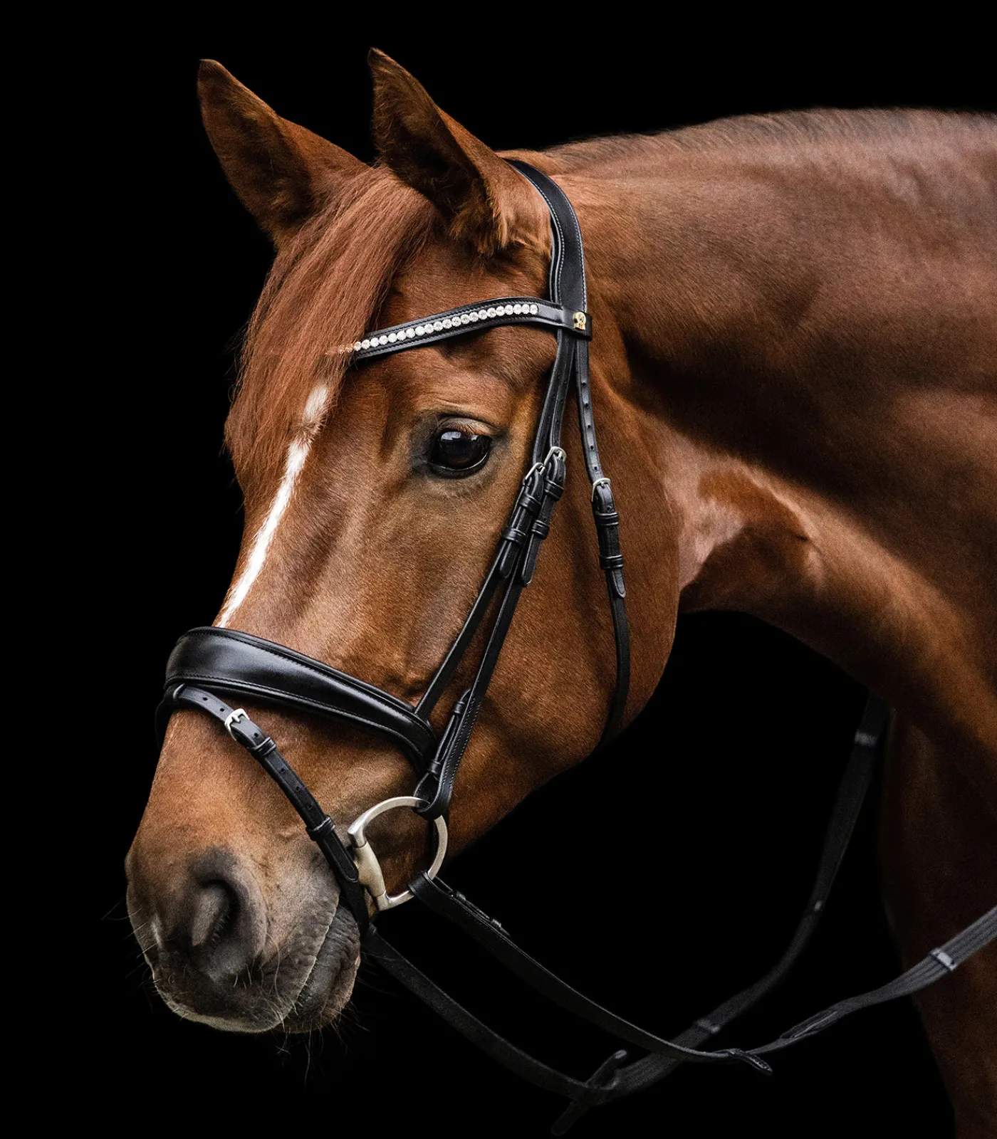 Waldhausen Trensenzäume>S-Line Trensenzaum Essential