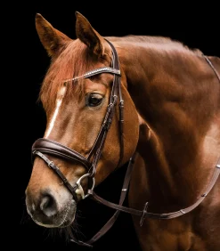 Waldhausen Trensenzäume><noscript><img width=