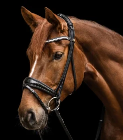 Waldhausen Turniertrensen, Kandaren & Zubehör|Trensenzäume></noscript>S-Line Trensenzaum Magic