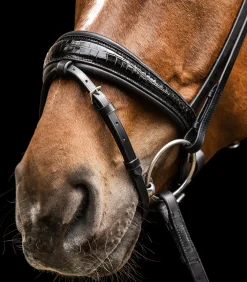 Waldhausen Turniertrensen, Kandaren & Zubehör|Trensenzäume></noscript>S-Line Trensenzaum Magic