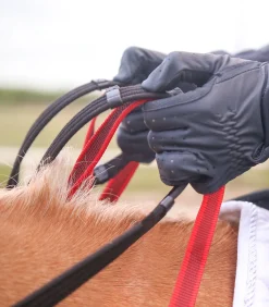 Waldhausen Pony & Shetty><noscript><img width=