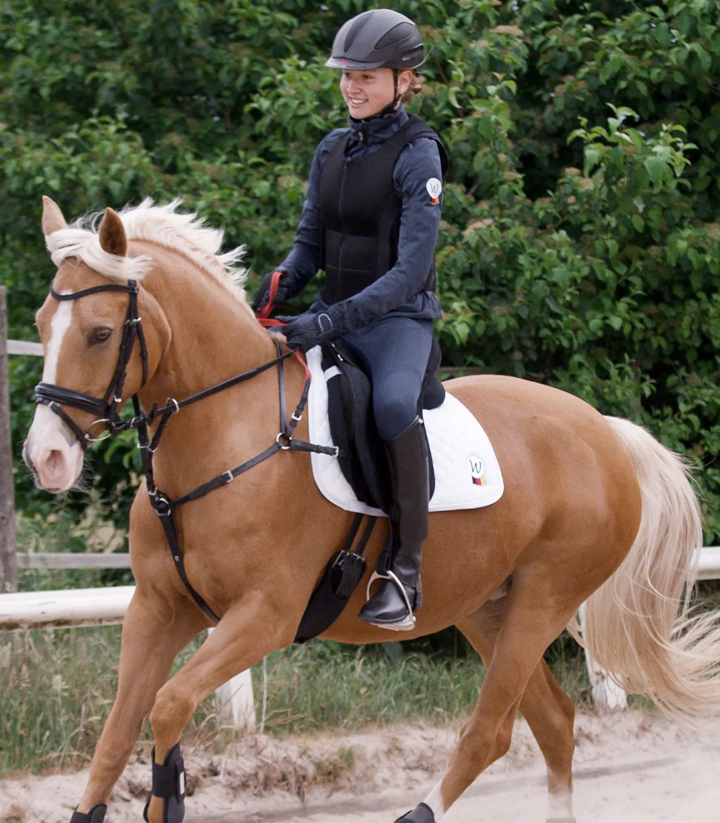 Waldhausen Pony & Shetty>Vorderzeug mit Sicherheitszügel Secutrust