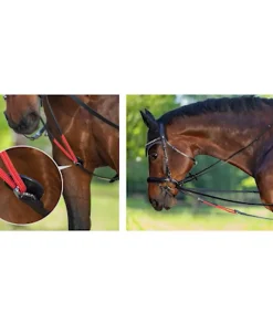 Waldhausen Longierhilfen & Ausbinder|Hilfszügel></noscript>W-trainRein