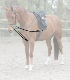 Waldhausen Hilfszügel>X-Line Dreieckszügel - einteilig